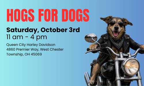 Hogs for Dogs